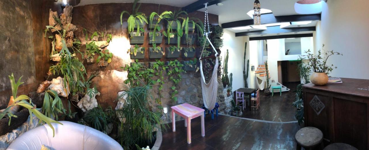 Magnolias Boutique Suites & Spa San Cristobal de las Casas Exterior photo